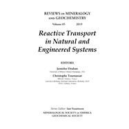 Reactive Transport in Natural and Engineered Systems by Druhan, Jennifer; Tournassat, Christophe; Mineralogical Society of America, 9781946850010