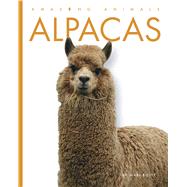 Alpacas by Bolte, Mari, 9798896800033
