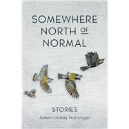 Somewhere North of Normal by Honsinger, Adam Lindsay, 9781773370064