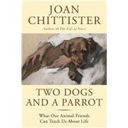 Two Dogs and a Parrot What Our Animal Friends Can Teach Us About Life by Chittister, Joan, 9781629190068