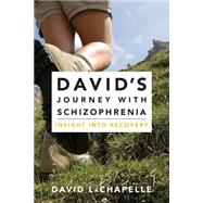 David's Journey With Schizophrenia by Lachapelle, David, 9781500880071