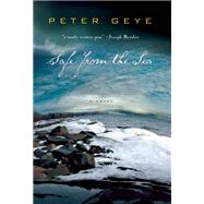 Safe from the Sea by Geye, Peter, 9781609530082