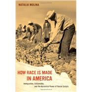 How Race Is Made in America by Molina, Natalia, 9780520280083