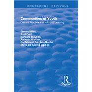 Communities of Youth: Cultural Practice and Informal Learning by Miles,Steven, 9781138730106