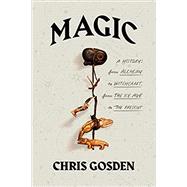 Magic by Gosden, Chris, 9780374200121