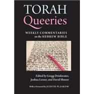 Torah Queeries by Drinkwater, Gregg, 9780814720127