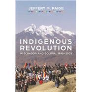 Indigenous Revolution in Ecuador and Bolivia 1990-2005 by Paige, Jeffery M., 9780816540143