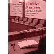 Punitive Damages by Sunstein, Cass R.; Hastie, Reid; Payne, John W.; Schkade, David A.; Viscusi, W. Kip; Sunstein, Cass R., 9780226780146
