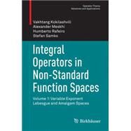 Integral Operators in Non-standard Function Spaces by Kokilashvili, Vakhtang; Meskhi, Alexander; Rafeiro, Humberto; Samko, Stefan, 9783319210148