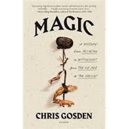 Magic: A History: From Alchemy to Witchcraft, from the Ice Age to the Present by Gosden, Chris, 9781250800152