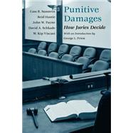 Punitive Damages by Hastie, Reid, 9780226780153