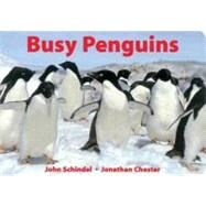 Busy Penguins by Schindel, John; Chester, Jonathan, 9781582460161