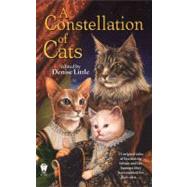 A Constellation of Cats by Little, Denise, 9780756400163