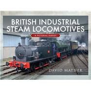 British Industrial Steam Locomotives by Mather, David, 9781526770172