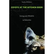 Coyote at the Kitchen Door by Destefano, Stephen, 9780674060180