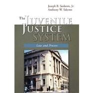 The Juvenile Justice System Law and Process by Sanborn, Joseph B.; Salerno, Anthony W.; Bishop, Donna, 9780195330182