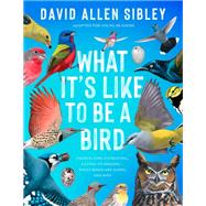 What It's Like to Be a Bird (Adapted for Young Readers) From Flying to Nesting, Eating to Singing--What Birds Are Doing, and Why by Sibley, David Allen, 9780593430187