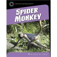 Spider Monkey by Gray, Susan Heinrichs, 9781633620193