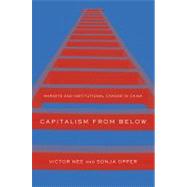 Capitalism from Below by Nee, Victor; Opper, Sonja, 9780674050204