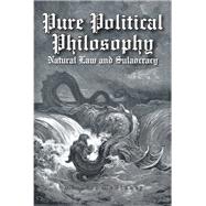 Pure Political Philosophy by Michael DeVinney, 9781098020224