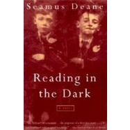 Reading in the Dark by DEANE, SEAMUS, 9780375700231