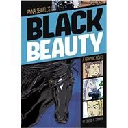 Anna Sewell's Black Beauty by Owens, L. L.; Tanner, Jennifer, 9781496500236