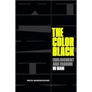 The Color Black: Enslavement and Erasure in Iran by Baghoolizadeh, Beeta, 9781478030249