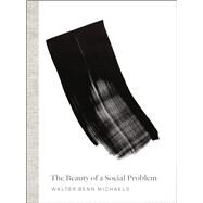 The Beauty of a Social Problem by Michaels, Walter Benn, 9780226210261