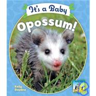 It's a Baby Opossum by Doudna, Kelly, 9781604530285