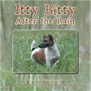 Itty Bitty After the Rain by Nowicki, Karen, 9781514450291