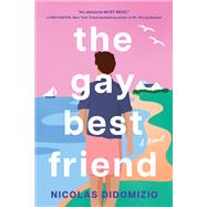 The Gay Best Friend by Nicolas DiDomizio, 9781728270296