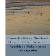 Evangelio segn Nicodemo / Gospel of Nicodemus by Ruiz, Armando, 9781500830304