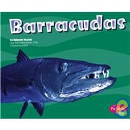 Barracudas by Nuzzolo, Deborah, 9781429600323