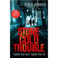 Stone Cold Trouble by Amer Anwar, 9780349700335