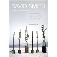 David Smith in Two Dimensions by Hamill, Sarah, 9780520280342