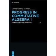 Progress in Communicative Algebra by Francisco, Christopher; Klingler, Lee; Sather-wagstaff, Sean; Vassilev, Janet C., 9783110250343