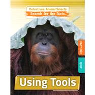 Using Tools by O'Daly, Anne, 9781835720349