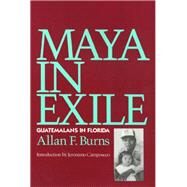 Maya in Exile by Burns, Allan F., 9781566390354