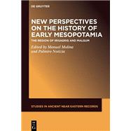 New Perspectives on the History of Early Mesopotamia by Manuel Molina, Palmiro Notizia, 9781501520358