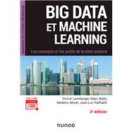 Big Data et Machine Learning - 3e d. by Pirmin Lemberger; Marc Batty; Mdric Morel; Jean-Luc Raffalli, 9782100790371