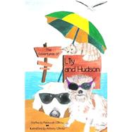 The Adventures of Lily and Hudson by Giltrow, Rebeccah; Giltrow, Anthony, 9781500510381