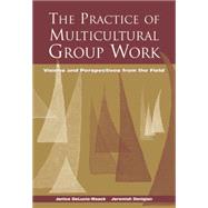 The Practice of Multicultural Group Work Visions and Perspectives from the Field by DeLucia-Waack, Janice L.; Donigian, Jeremiah, 9780534560386