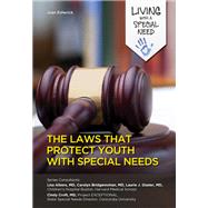 The Laws That Protect Youth With Special Needs by Esherick, Joan, 9781422230398