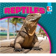 Reptiles by Koran, Maria, 9781489680419
