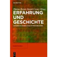 Erfahrung und Geschichte by Breyer, Thiemo, 9783110240429