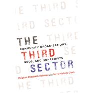 The Third Sector by Kallman, Meghan Elizabeth; Clark, Terry Nichols; Wu, Cary (CON); Lin, Jean Yen-Chun (CON), 9780252040436