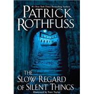 The Slow Regard of Silent Things A Kingkiller Chronicle Novella by Rothfuss, Patrick, 9780756410438