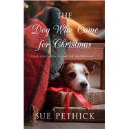 The Dog Who Came for Christmas by Pethick, Sue, 9781432840471