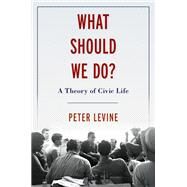 What Should We Do? A Theory of Civic Life by Levine, Peter, 9780197570494
