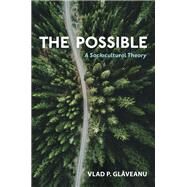 The Possible A Sociocultural Theory by Glaveanu, Vlad P., 9780197520499